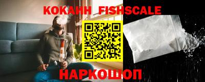 скорость Новозыбков