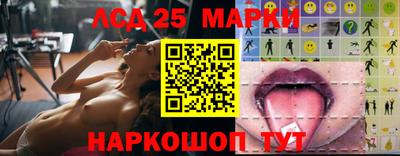 СК Новодвинск