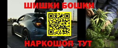 СК Новодвинск