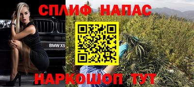 скорость Новозыбков
