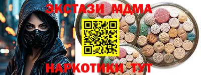 СК Новодвинск