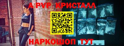 СК Новодвинск