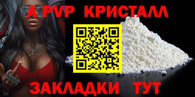 СК Новодвинск